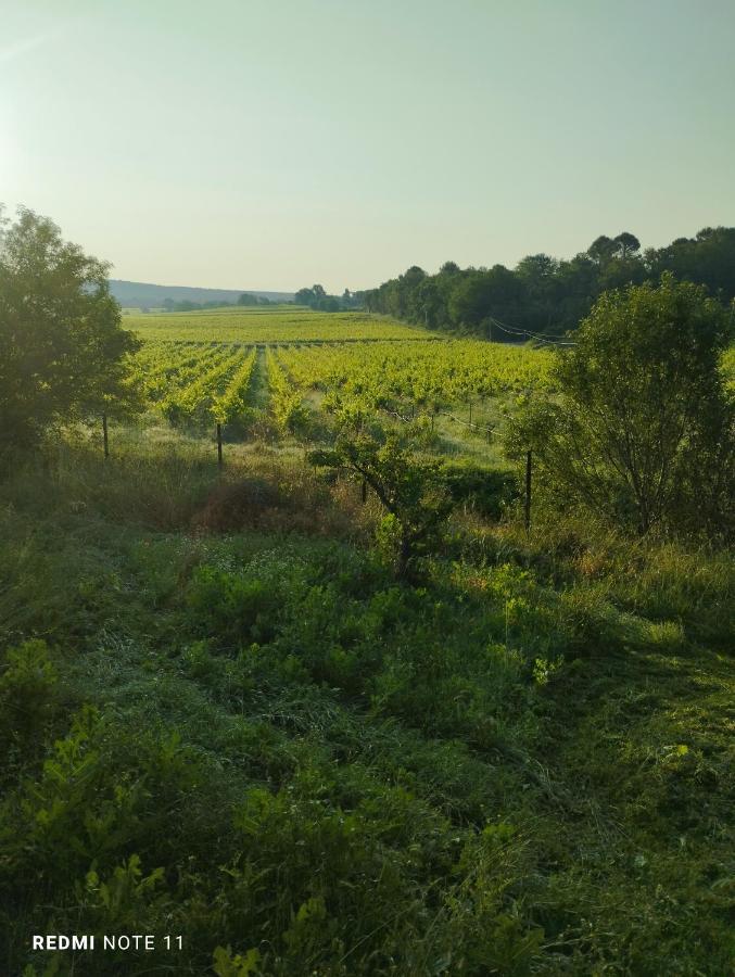Chambre D Hotes En Provence, Au Pied Du Luberon, Les Coquelicots La Tour-dʼAigues Esterno foto