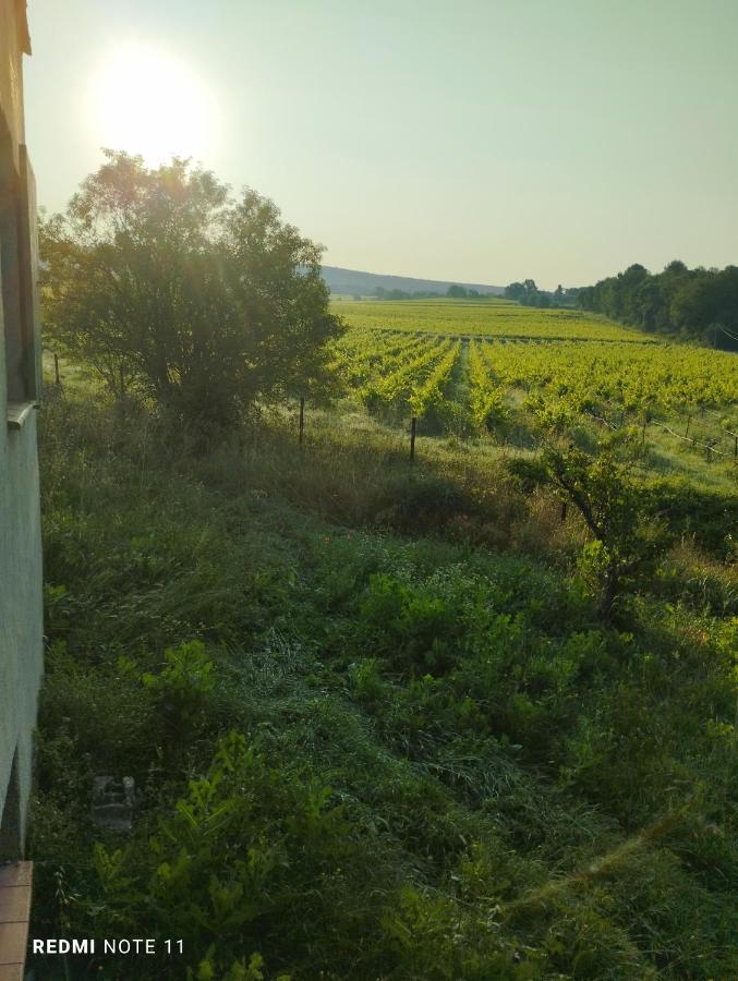 Chambre D Hotes En Provence, Au Pied Du Luberon, Les Coquelicots La Tour-dʼAigues Esterno foto